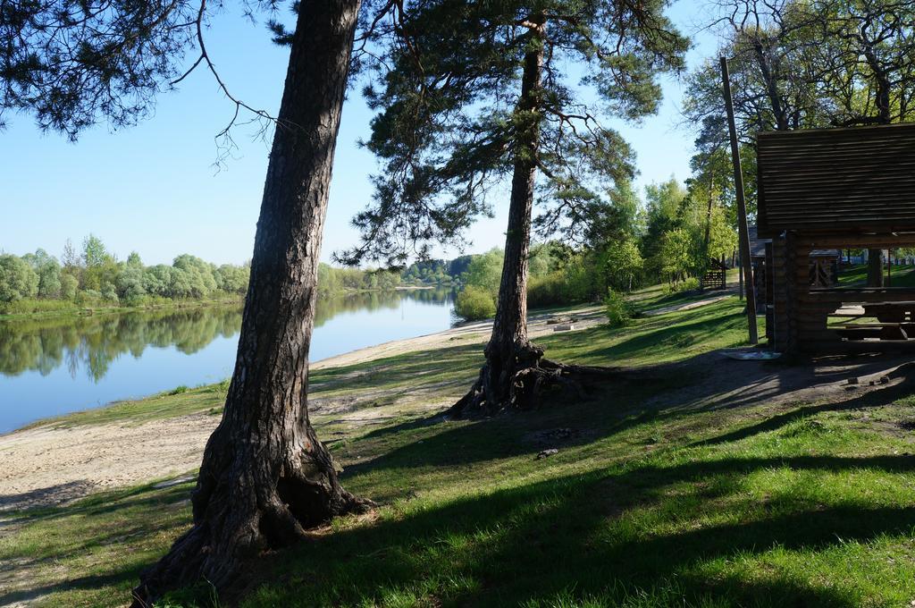 Belaya Dacha Apartment Гомел Екстериор снимка